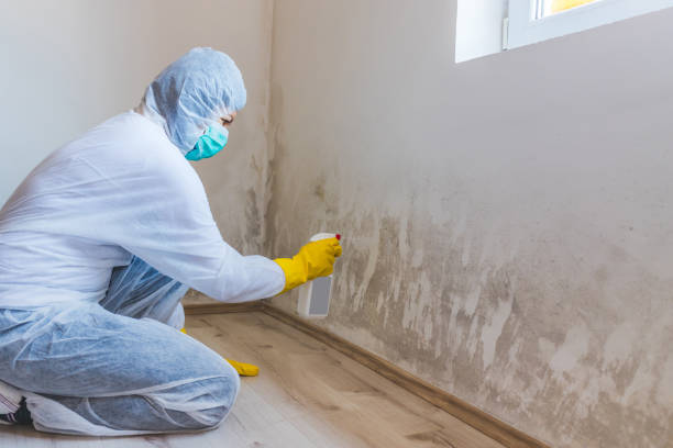 Hvac And Air Duct Mold Remediation inspection of HVAC system in Saddle Brook